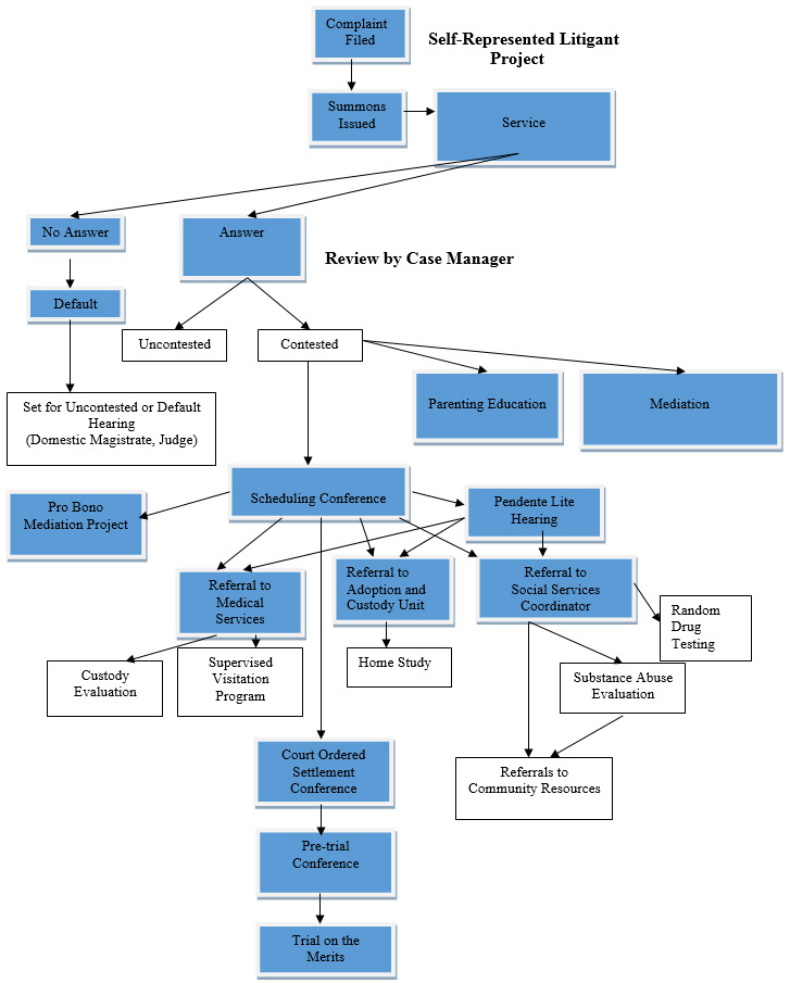 Civil Court Case Flow Chart